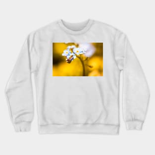 Calligrapher fly on forget-me-nots Crewneck Sweatshirt